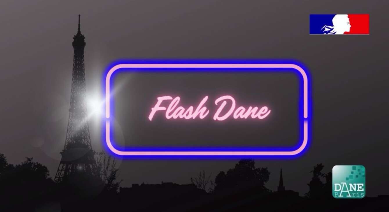 Flash DANE visuel 2024